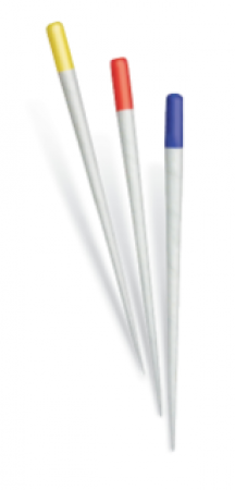 Dentsply paper point color-coded 100 27mm 180st