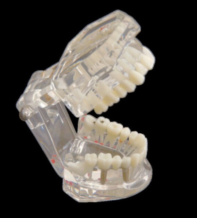 kkd studiemodel transparant ok/bk st