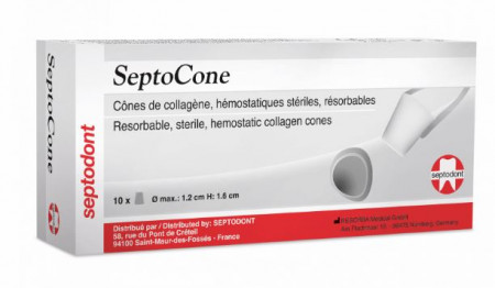 septodont septocone               10st