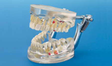 Demonstratiemodel P12D-100A