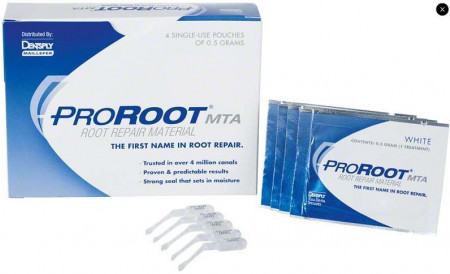 Maillefer Pro Root MTA