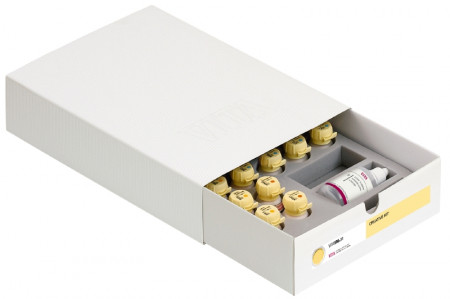 VITA VM11 Dentine kit