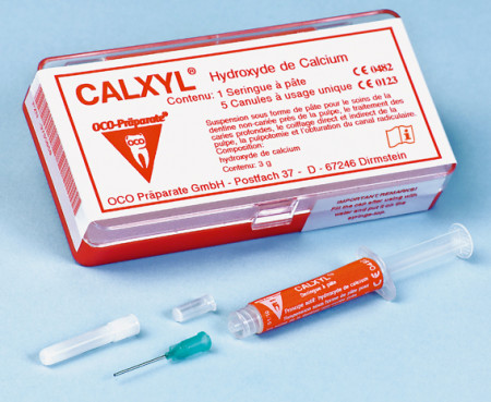 Calxyl spuit &agrave; 2 g rood