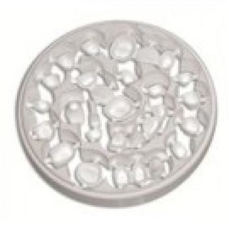 Siladent Zirkon BioStar kleur 1000