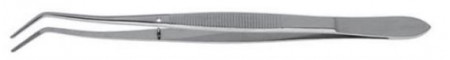 orbis pincet meriam st