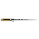 Dentsply Proglider 6st