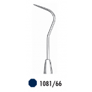 Carl Martin sonde (1081/66)