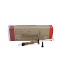 pulpdent forendo paste 2,2g + 20 tips