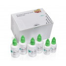 gc initial zr coloring liquid introkit