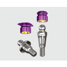 C&M Dalbo abutment Straumann