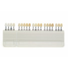 Standaard kleurring A-D + bleach
