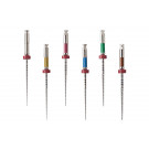 Dentsply ProFile .04 25 mm. A011N