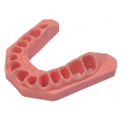 Frasaco gingiva bovenkaak st