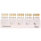 Ivoclar Chromascop Kleurring