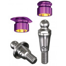 C&M Dalbo abutment camlog