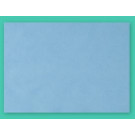 Euronda monoart tray filter papier blauw 18x28cm 250st