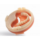 Ivoclar Vivadent Ivotion US-D 98.5