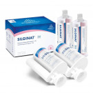 Kettenbach Silginat