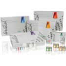 GC Initial MC opaque dentine 50g
