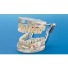 Demonstratiemodel P12D-100A