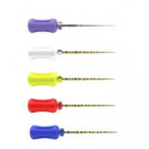 ProTaper Ultimate Handvijlen 31mm.