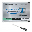 SybronEndo RealSeal 1 Obturators .04/21mm #45 6st