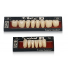 Welkomstbox SR Vivodent/Orthotyp S PE