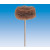Scotch Brite hp grof verp 6 stks