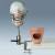 Frasaco Fantoomkop met tafelbevestiging (P-6/3 PT) compleet met gebitsmodel en masker