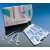 Zahn-Pick tandenstokers 100 st., individueel verpakt