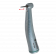 Intensiv Swingle WG-69 A
