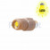 Sirona lampje LED voor diversen Sirona instrumenten.