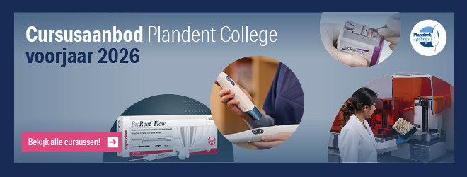 Plandent College