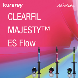 Kuraray Clearfil Majesty ES Flow